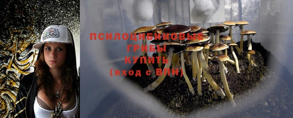 а пвп мука Абинск