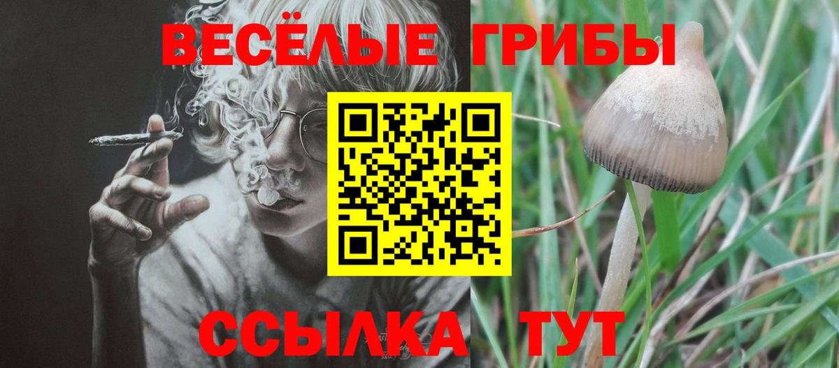 Псилоцибиновые грибы Cubensis Каменск-Уральский