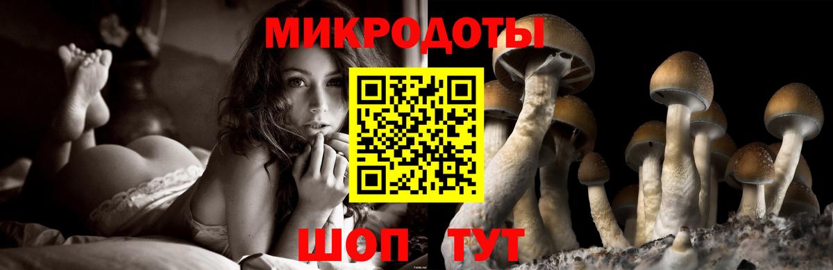 Псилоцибиновые грибы MAGIC MUSHROOMS  купить наркотики цена  Галлюциногенные грибы Cubensis  Каменск-Уральский  Вход с VPN 